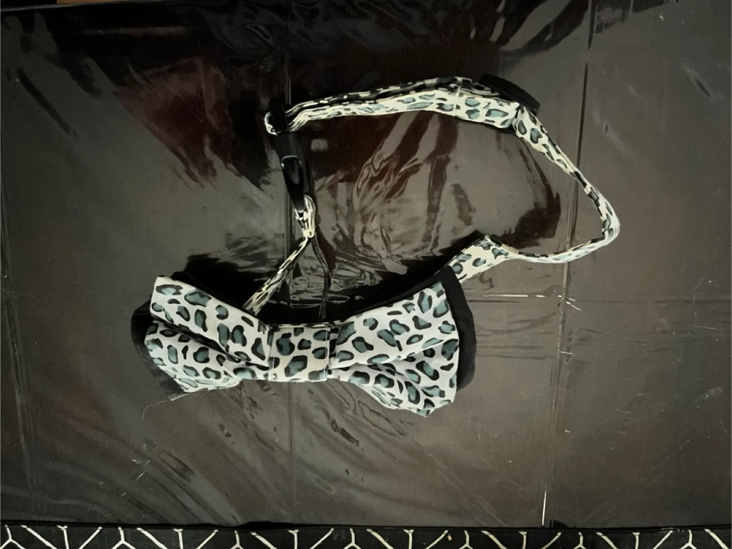 Dog Harnesses & Bow Ties - Dwni, Martha Stewart thumbnail