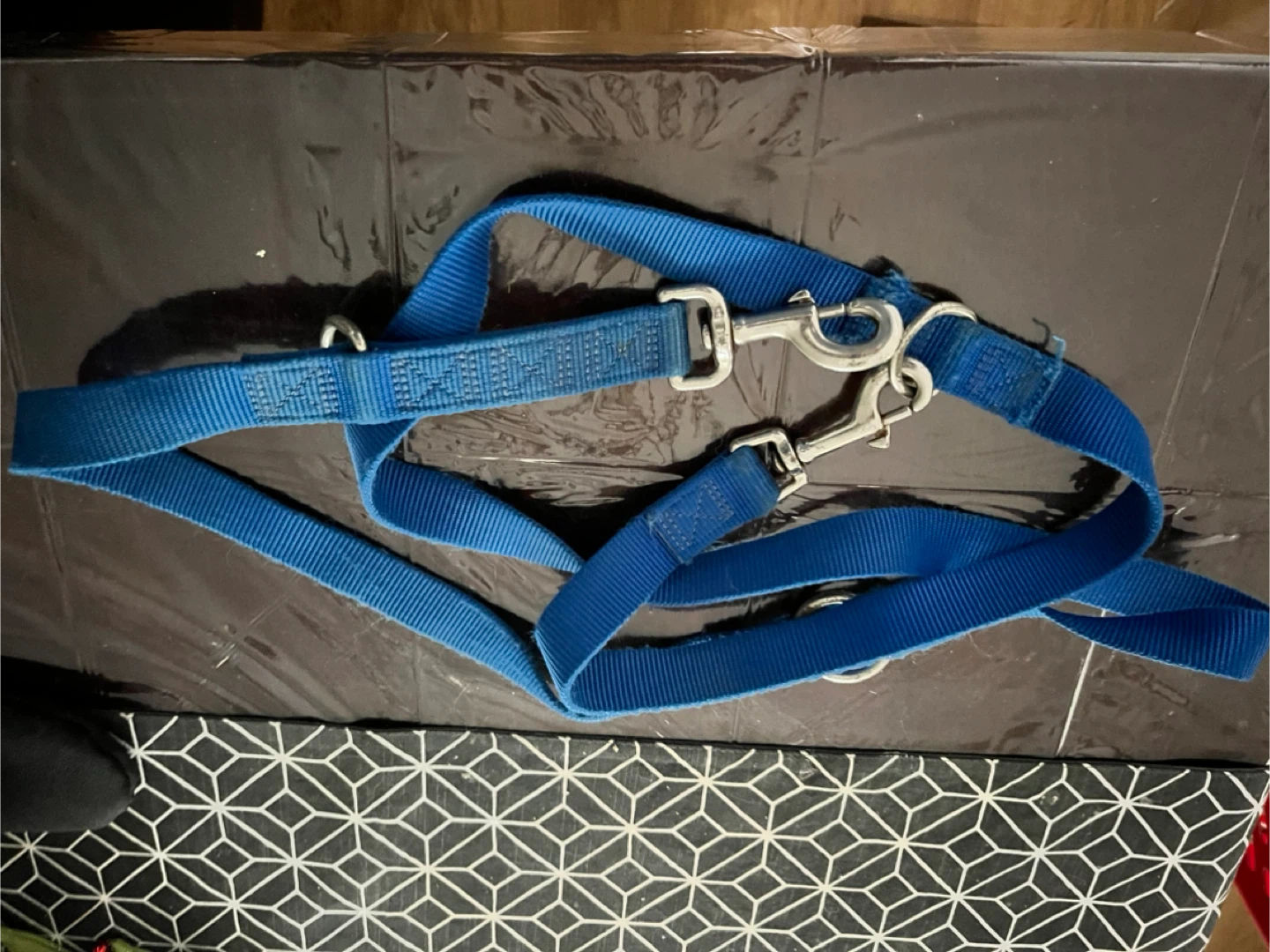 Blue Dog Leash
