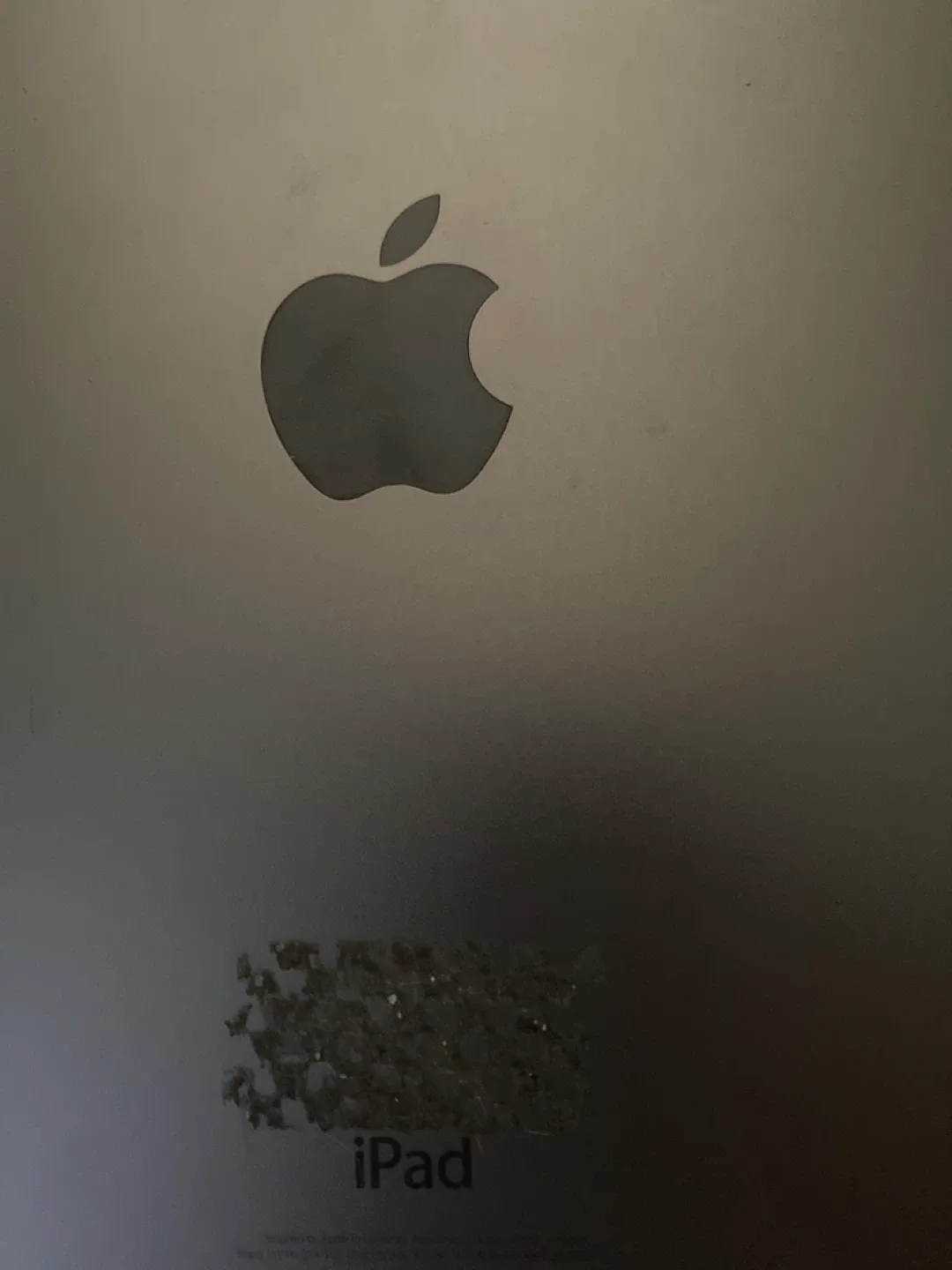 Ipad Air 2 Apple image indicator(4)