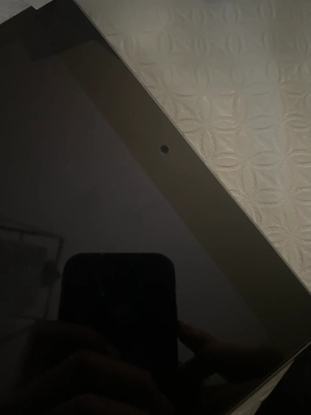 Ipad Air 2 Apple image indicator(3)