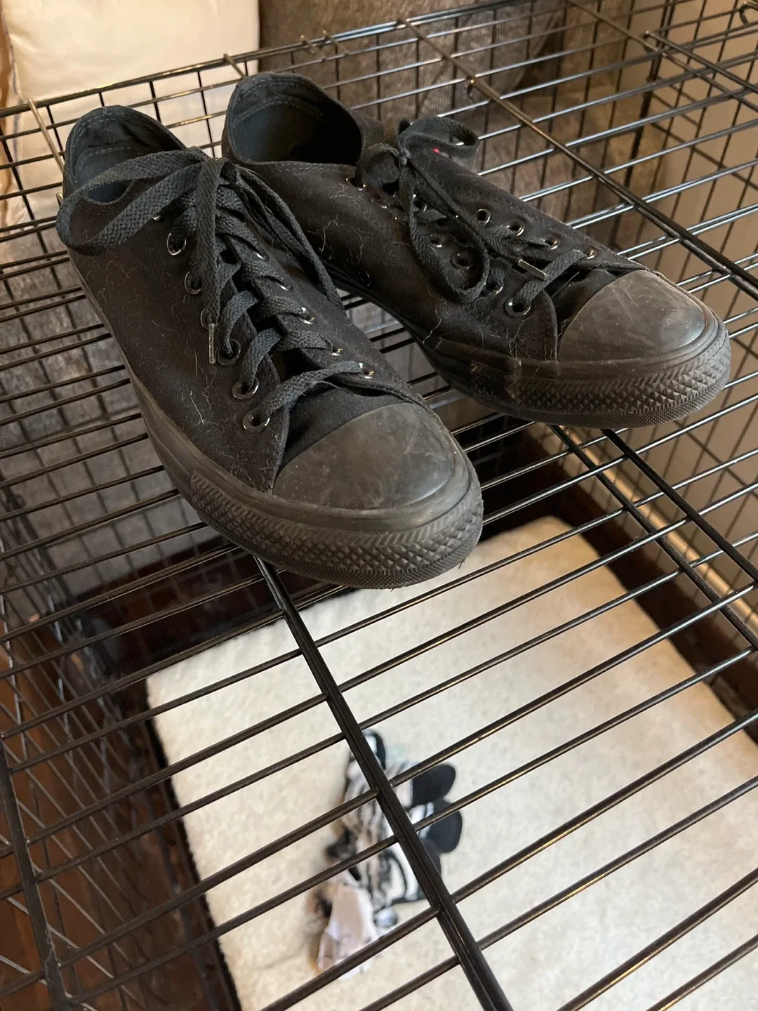 Converse All Star Black Sneakers image indicator(2)