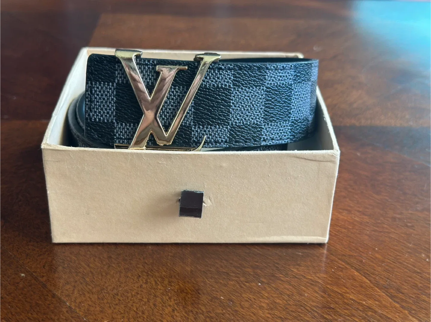 Louis Vuitton Damier Graphite Belt image indicator(3)