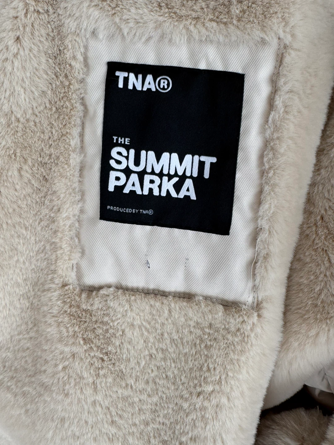 Aritzia TNA Summit Parka, 700+ fill, waterproof, windproof - photo 3