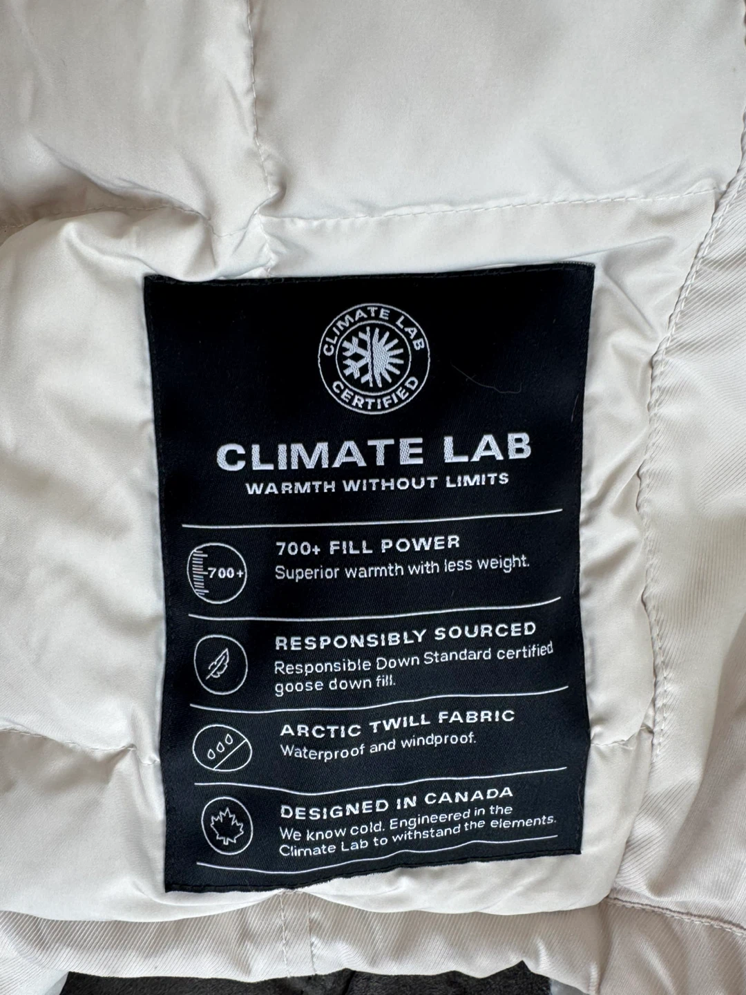 Aritzia TNA Summit Parka, 700+ fill, waterproof, windproof - photo 4