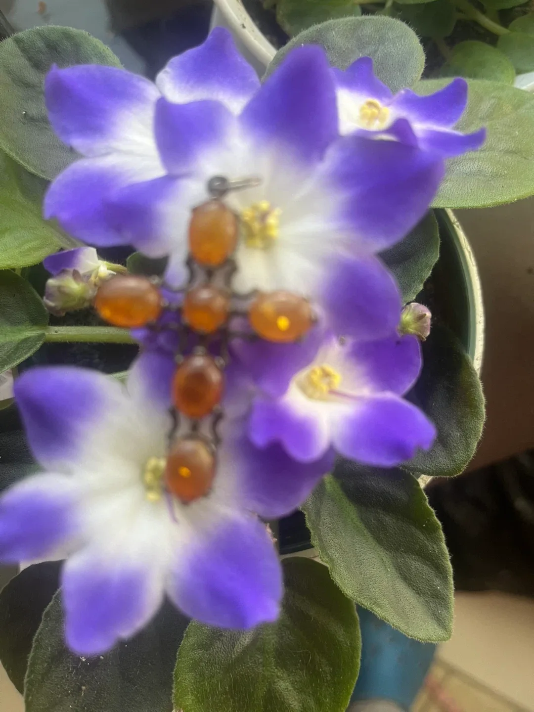 Amber Cross Pendant, 2 inches long image indicator(5)