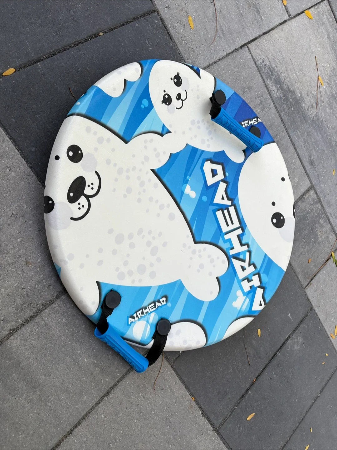 Airhead Disc Snow Sled thumbnail
