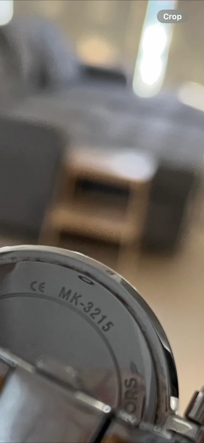 Michael Kors MK-3215 Watch (The battery needs to be replaced) image indicator(5)