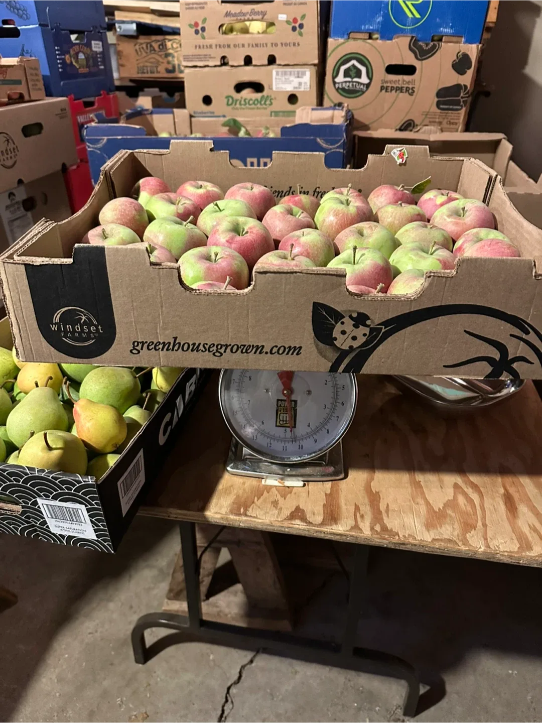 Organic McIntosh apples image indicator(2)