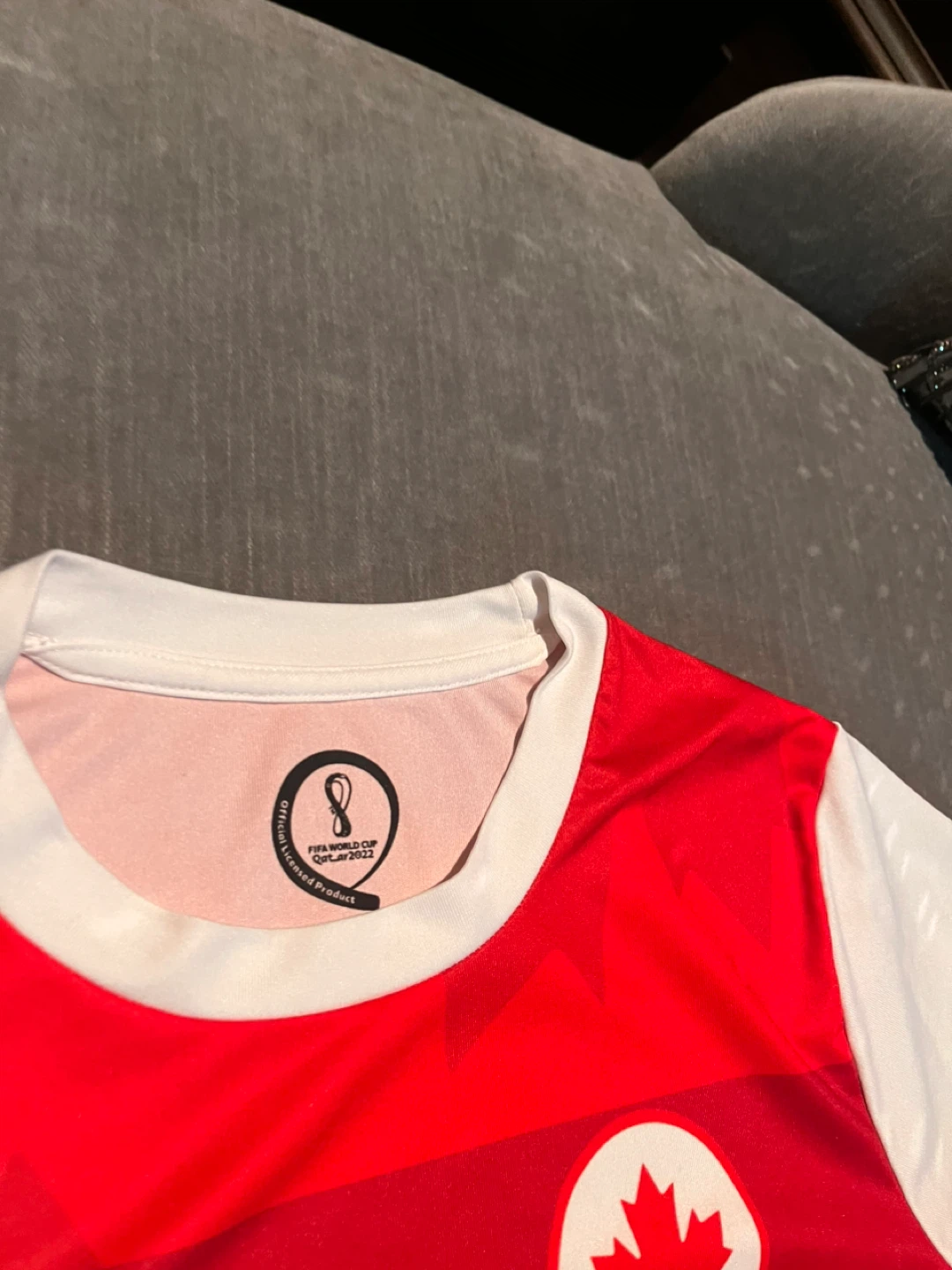 Canada FIFA World Cup Qatar 2022 Jersey - photo 3