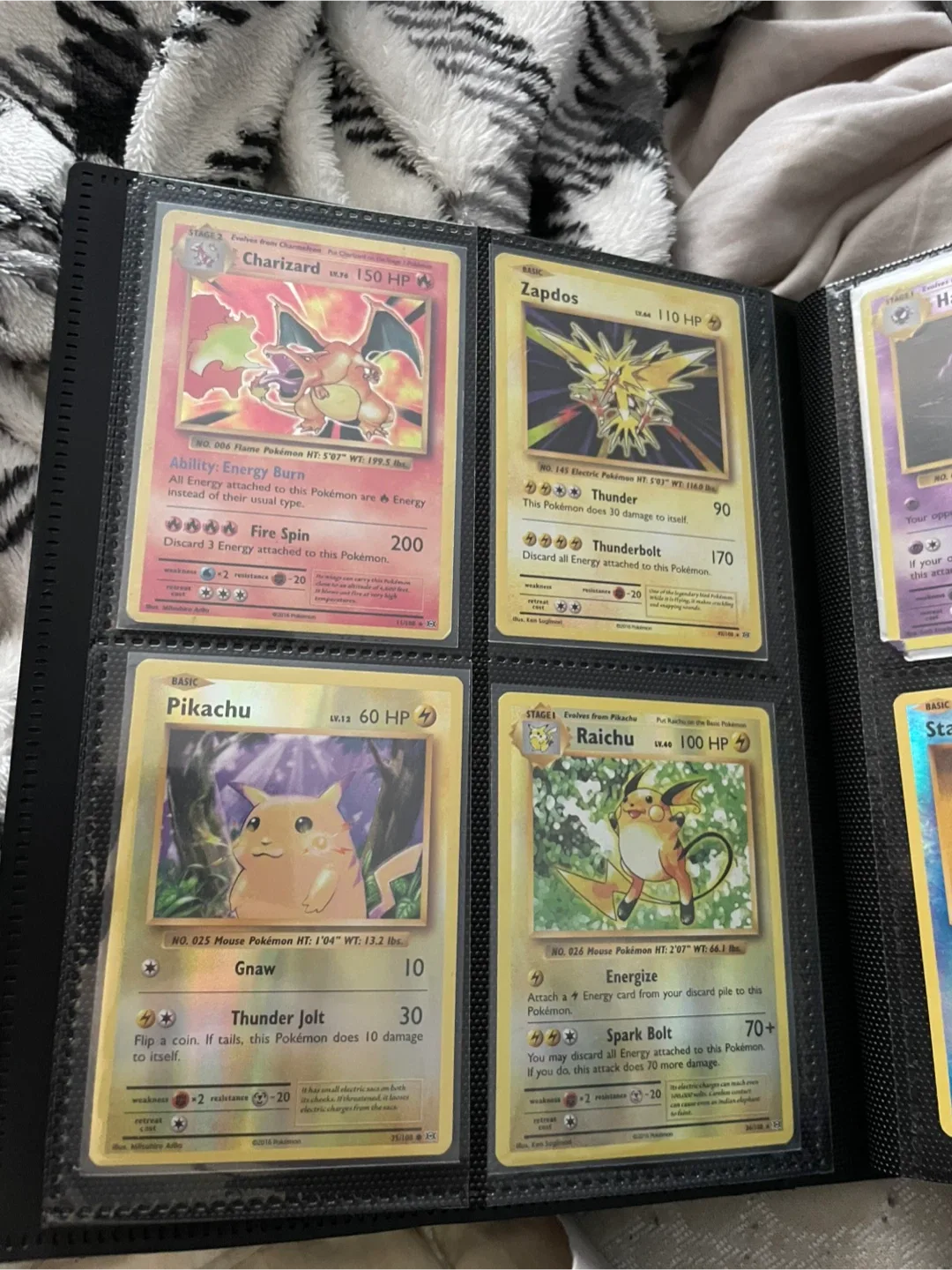 Pokémon Trading Cards image indicator(8)