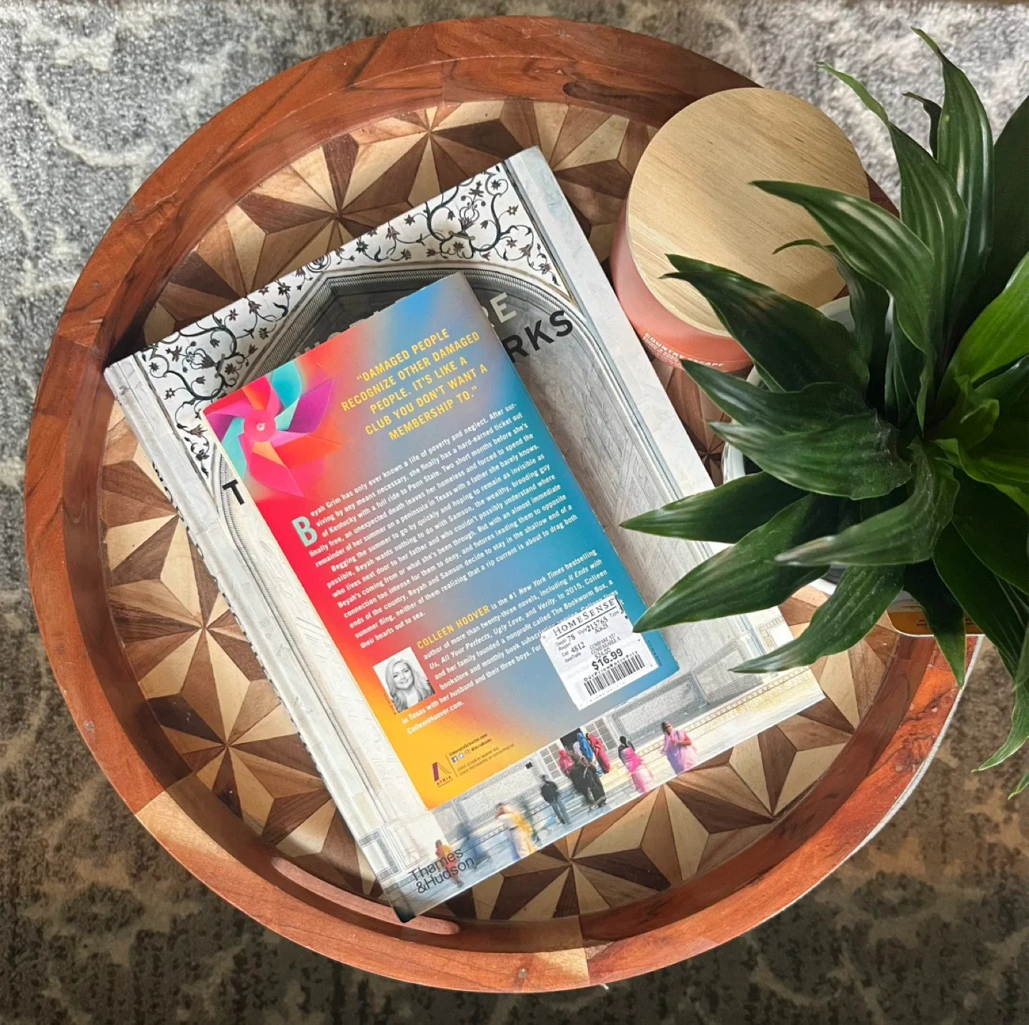 Lucy Foley, Colleen Hoover & Freida McFadden Novels image indicator(2)