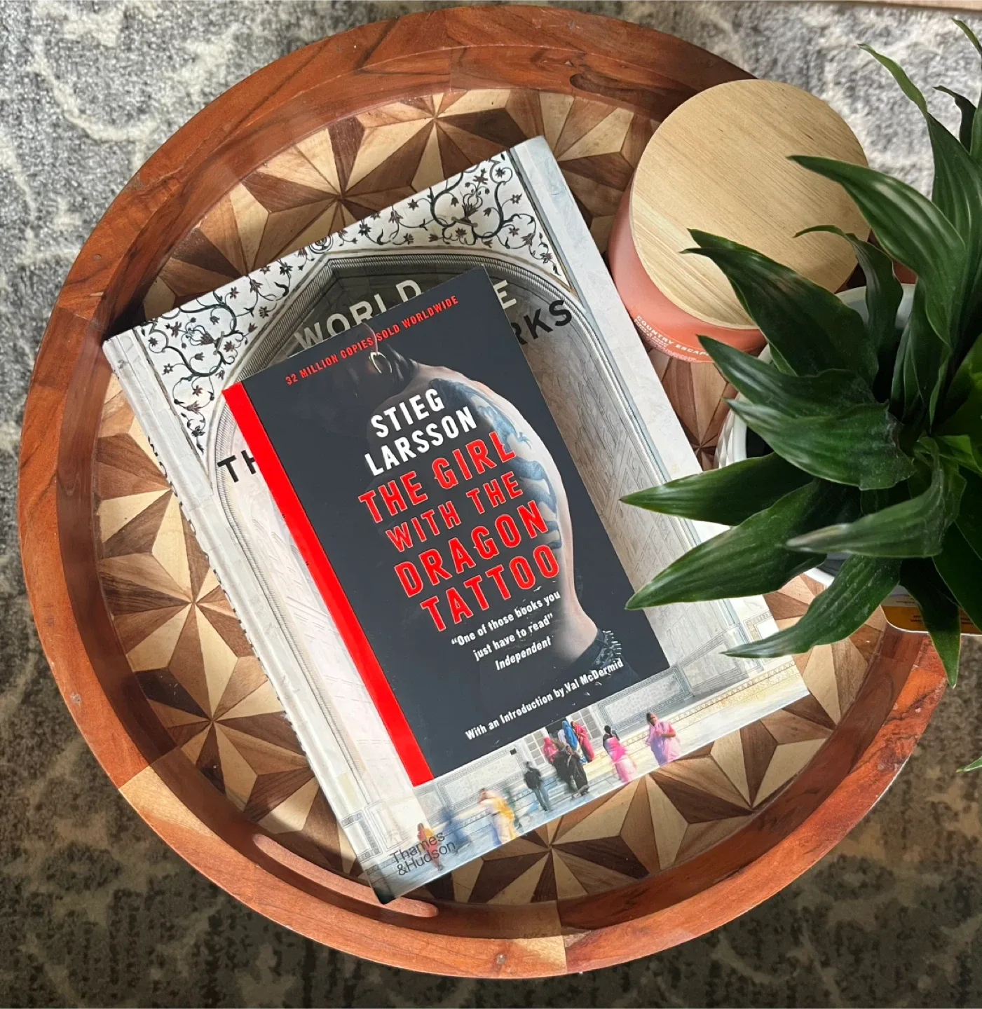 Lucy Foley, Colleen Hoover & Freida McFadden Novels image indicator(9)