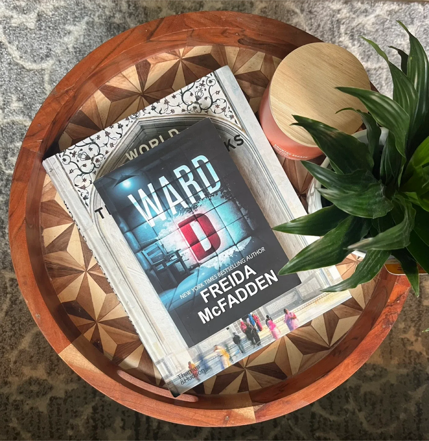 Lucy Foley, Colleen Hoover & Freida McFadden Novels image indicator(3)