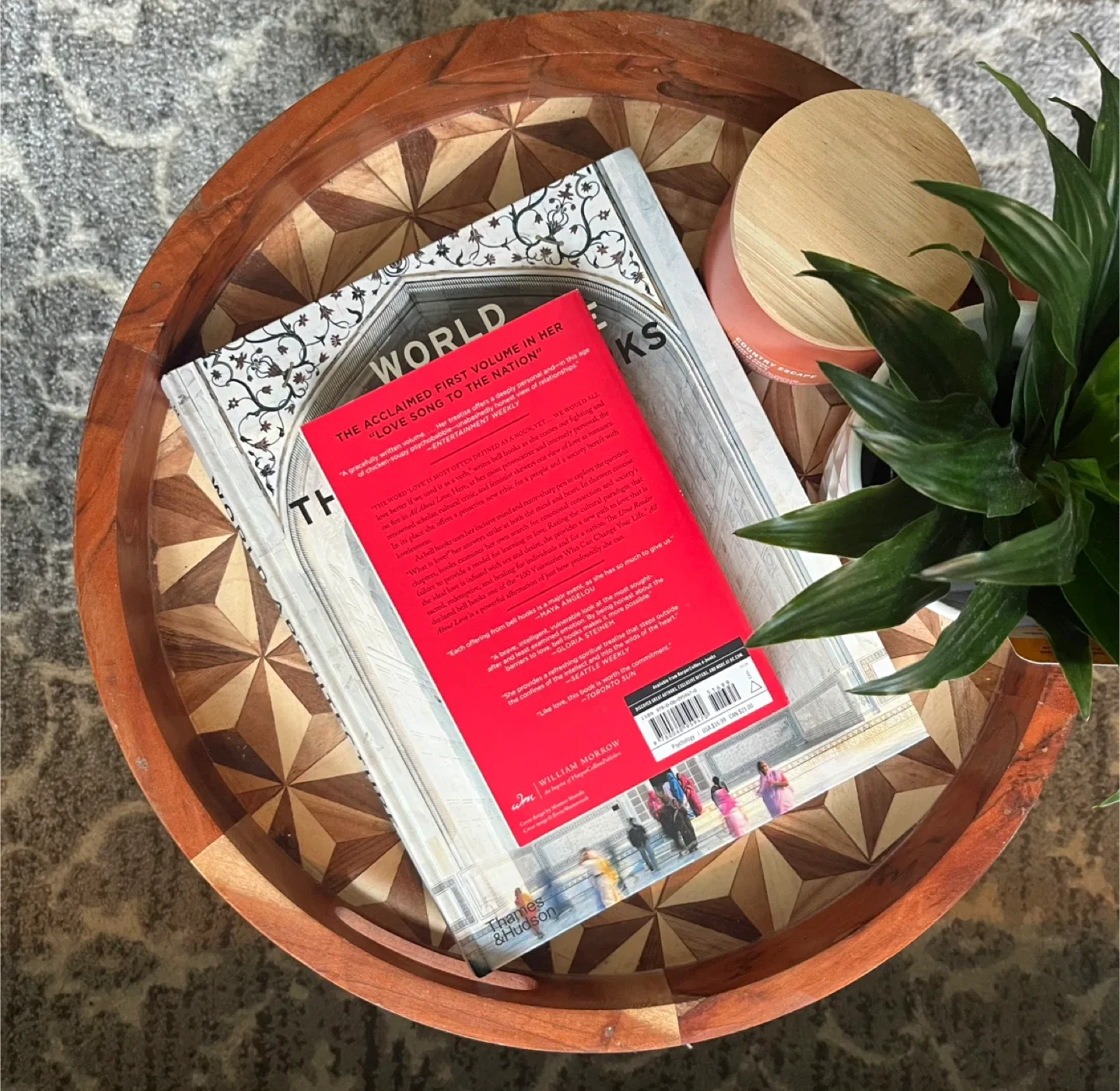 Lucy Foley, Colleen Hoover & Freida McFadden Novels image indicator(8)