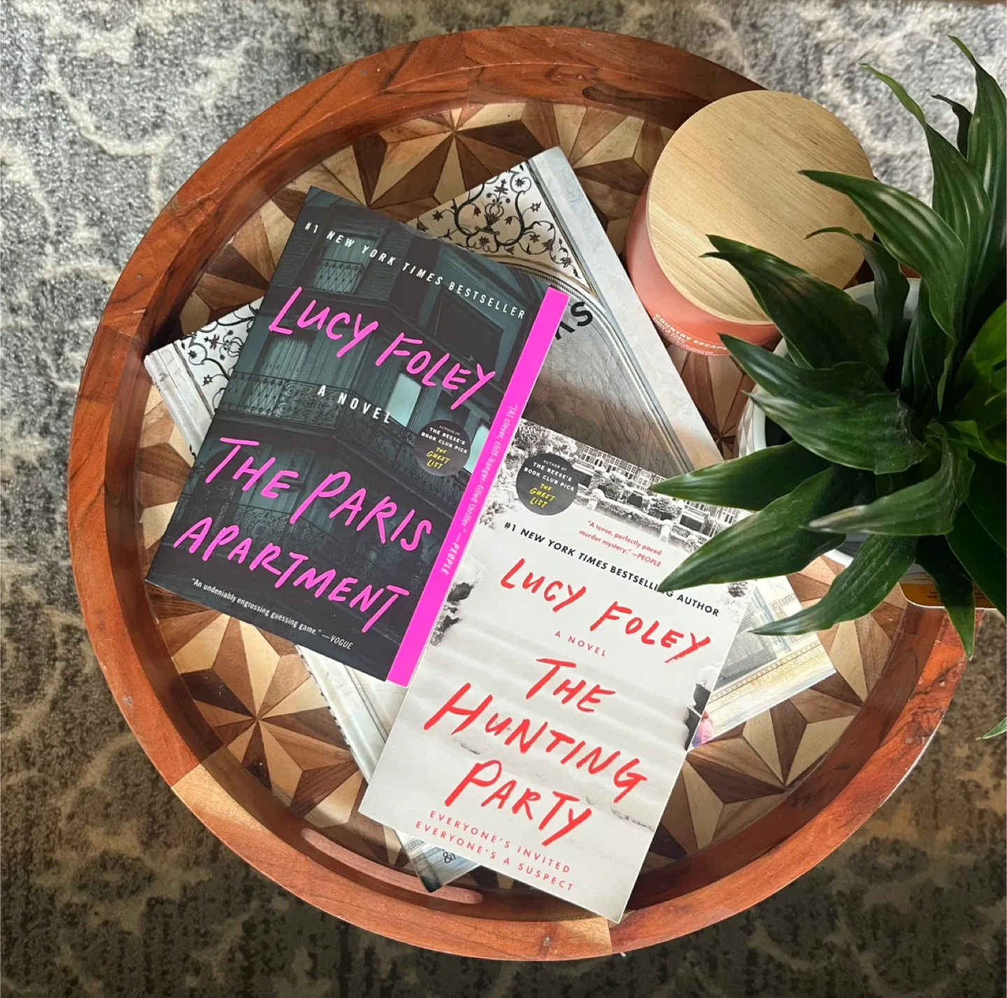 Lucy Foley, Colleen Hoover & Freida McFadden Novels image indicator(5)