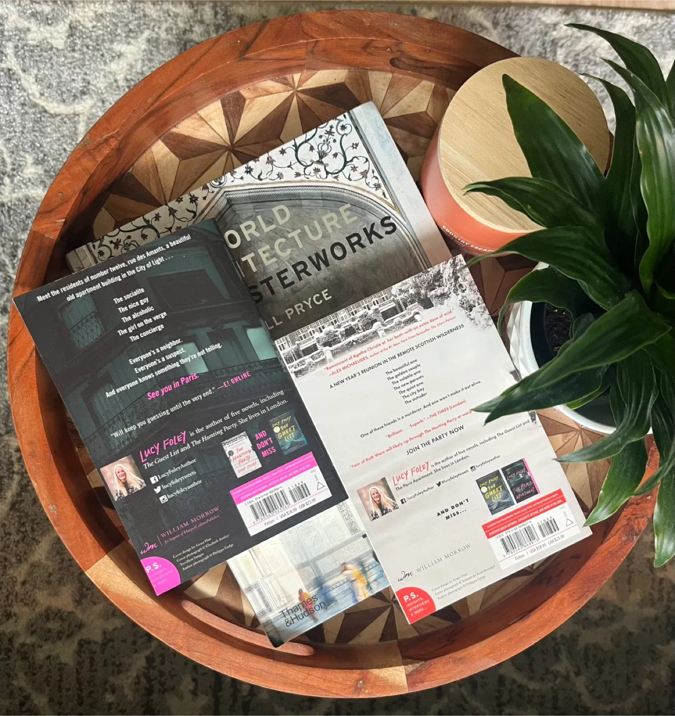 Lucy Foley, Colleen Hoover & Freida McFadden Novels image indicator(6)