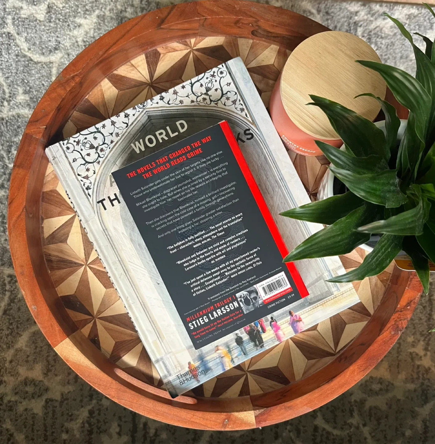 Lucy Foley, Colleen Hoover & Freida McFadden Novels image indicator(10)