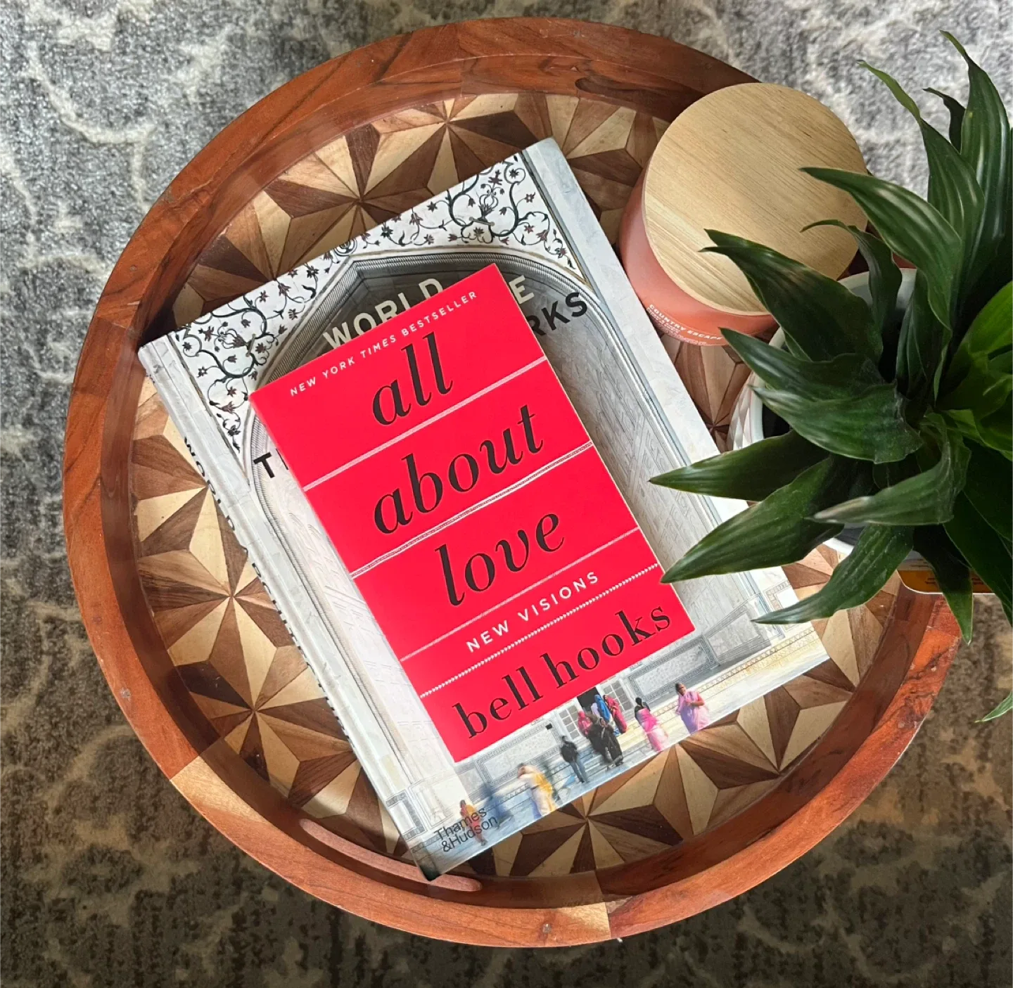 Lucy Foley, Colleen Hoover & Freida McFadden Novels image indicator(7)