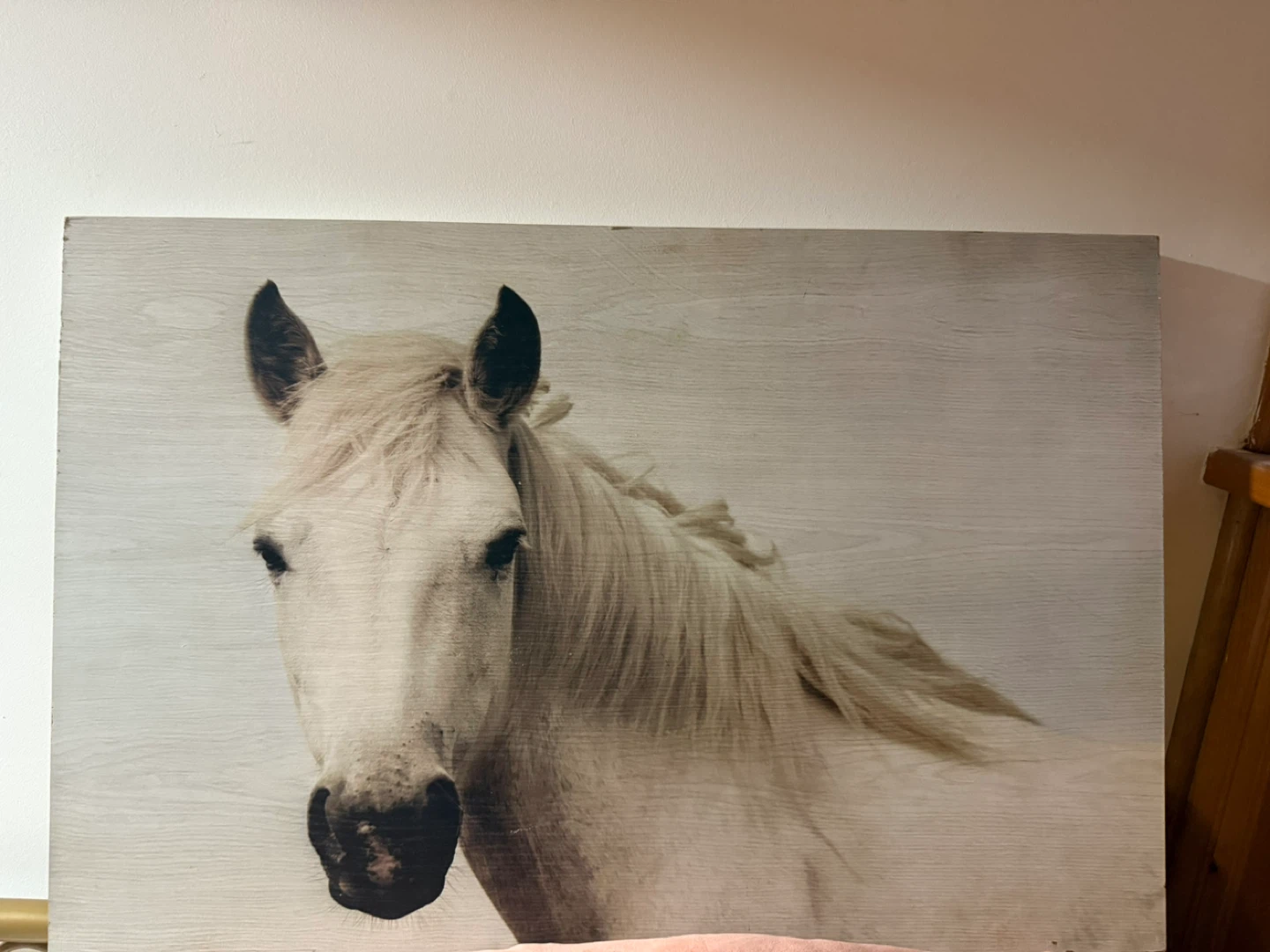 Horse portrait