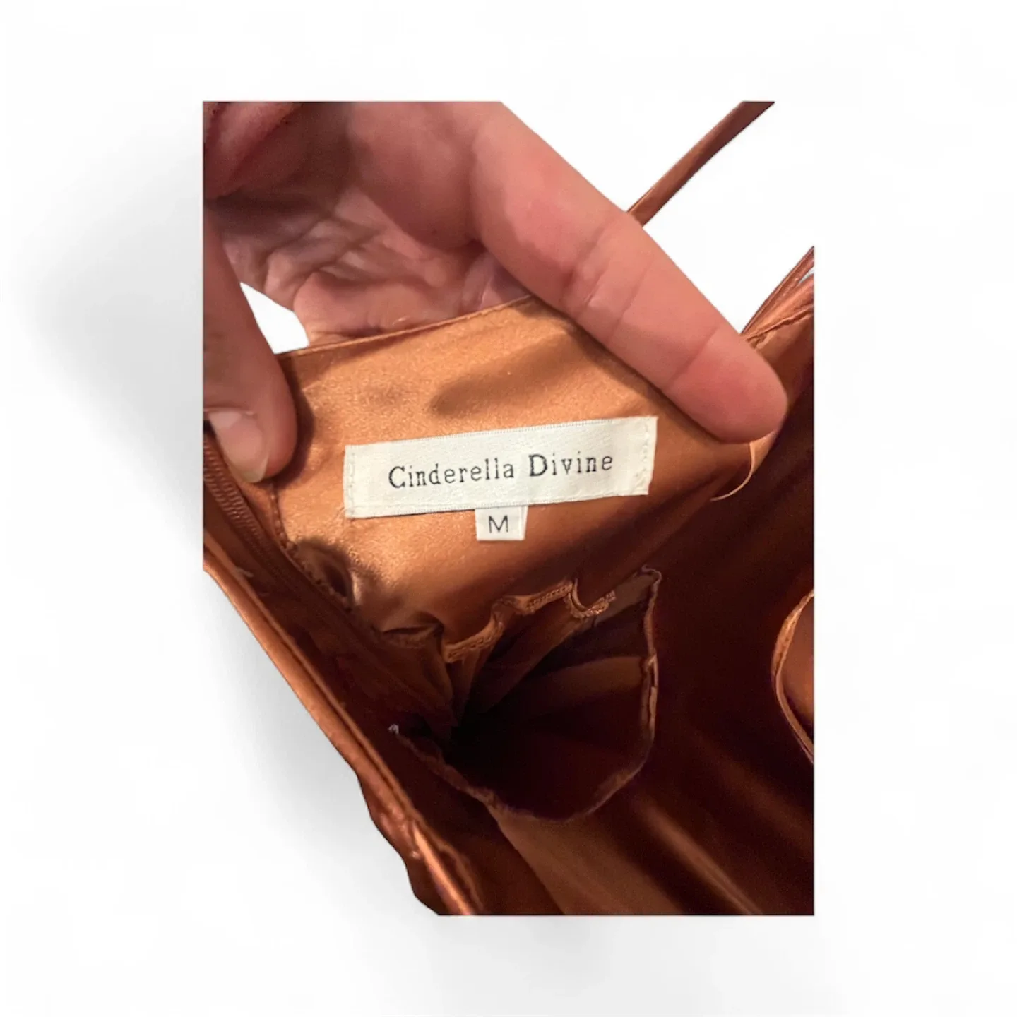 Cinderella Divine Bronze Formal Dress - Size M image indicator(4)