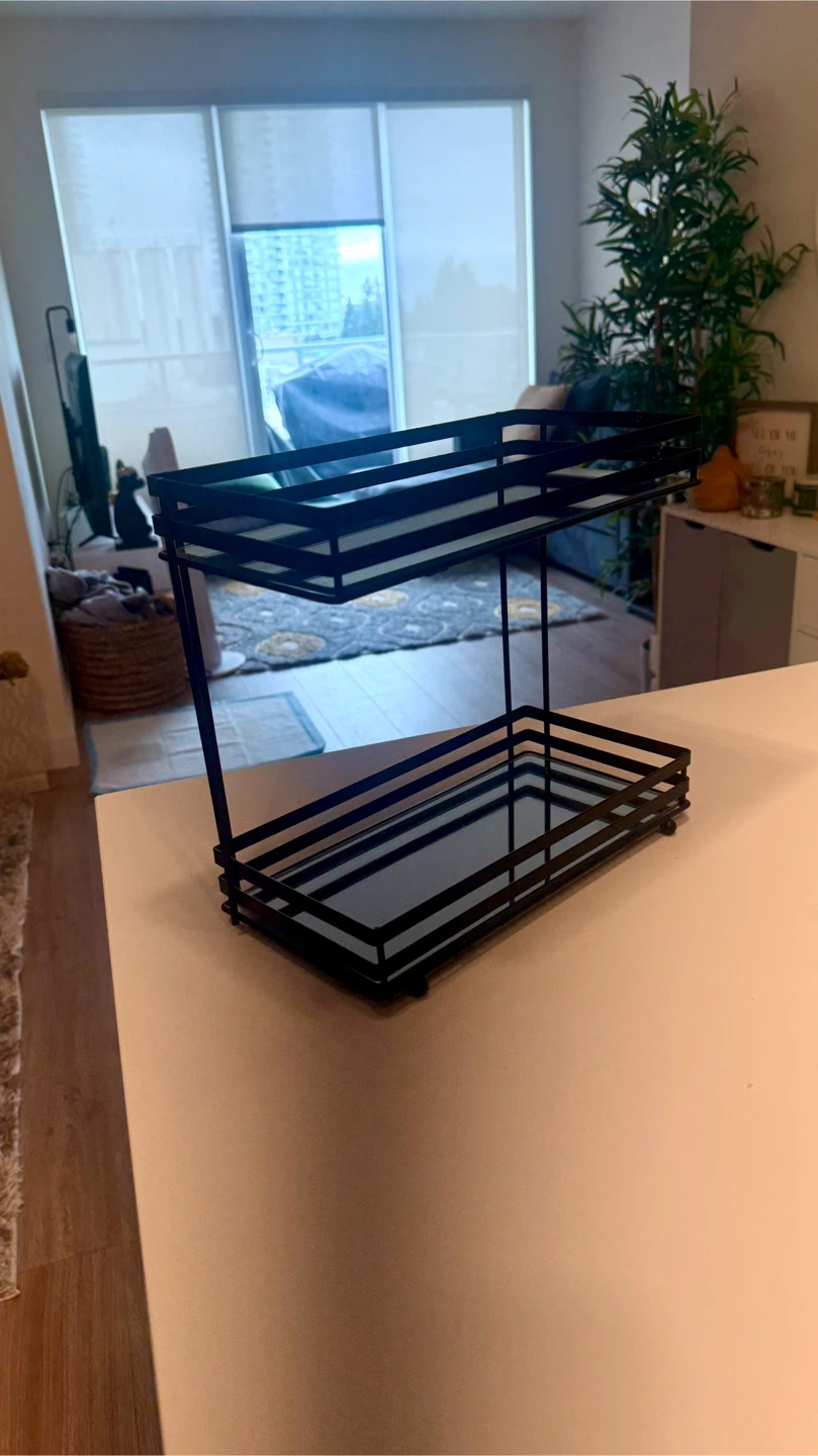 Black Metal 2-Tier Organizer