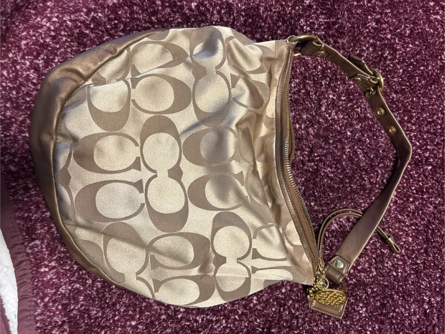 Coach Signature Hobo Bag image indicator(4)
