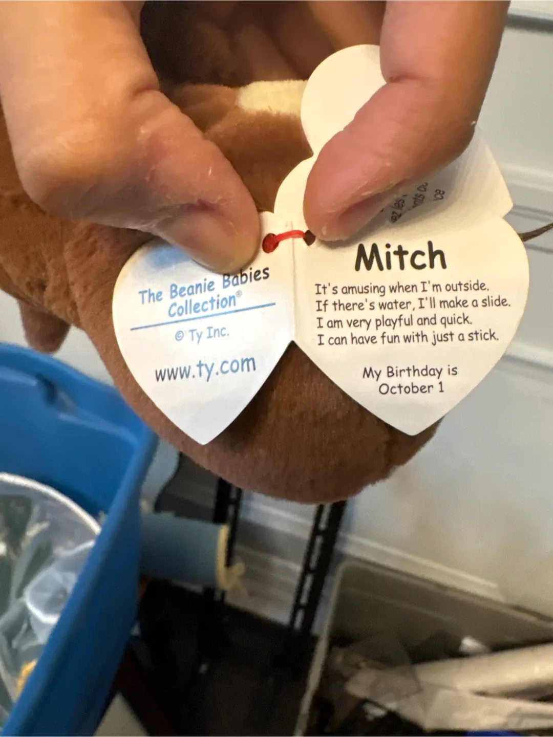 Ty Beanie Baby - Mitch the Otter image indicator(2)