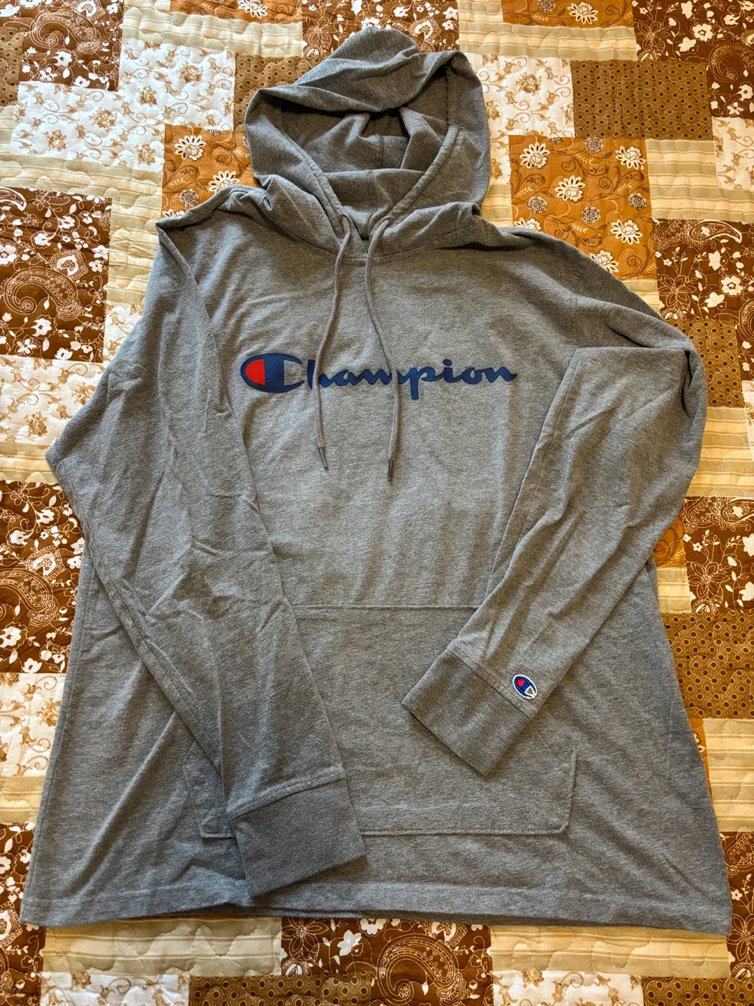 Champion Gray Hoodie - Size Large thumbnail