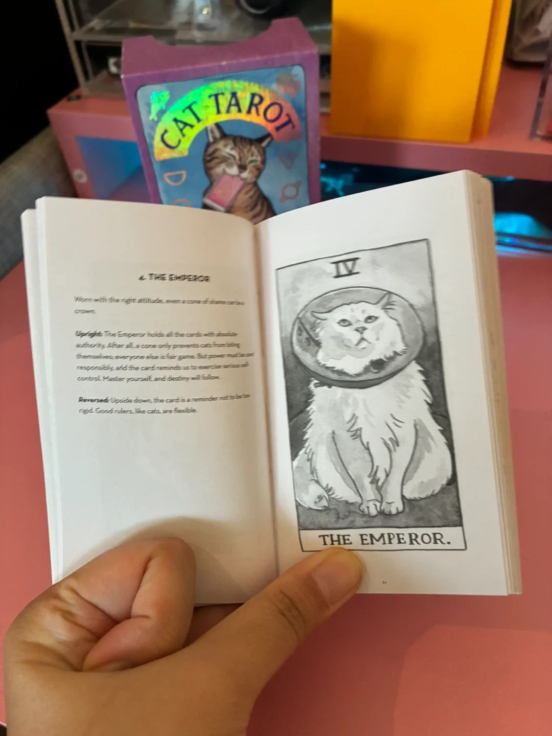 Cat Tarot Card Deck by Megan Lynn Kott image indicator(2)