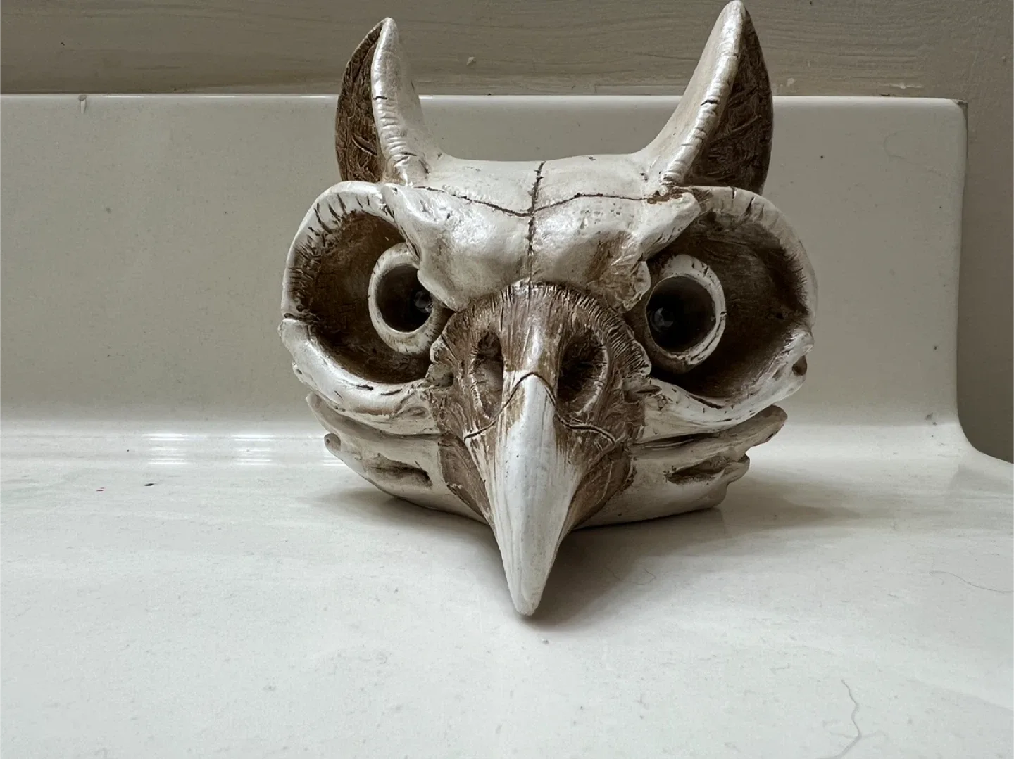 Light-Up Animal Skull Decoration image indicator(6)