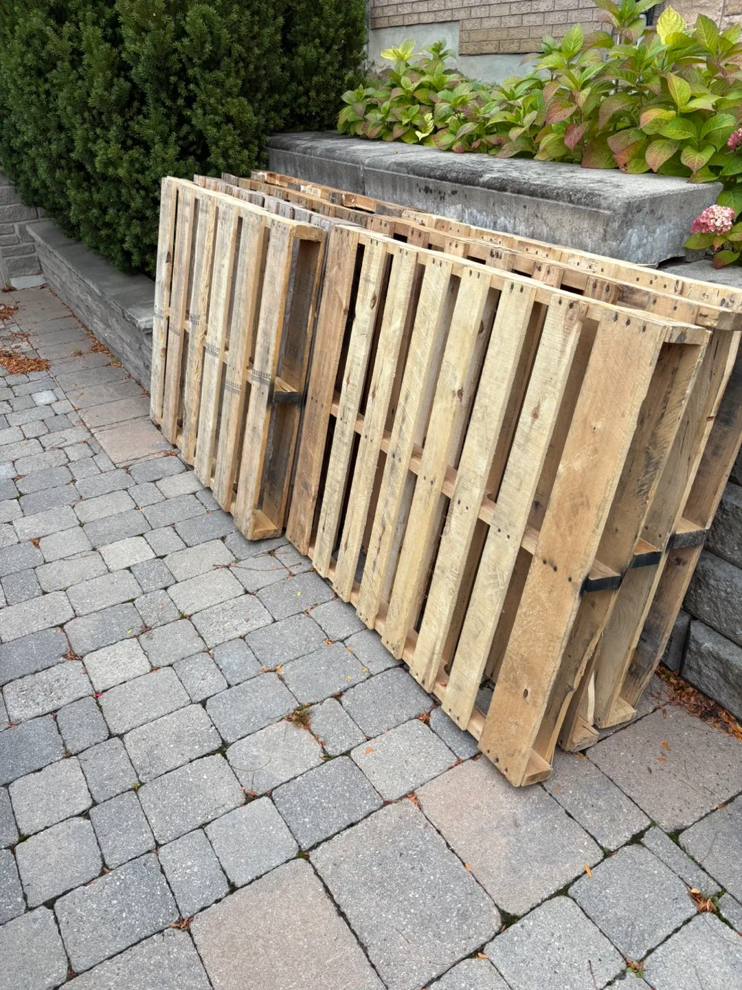 Wooden Pallets - Free! thumbnail