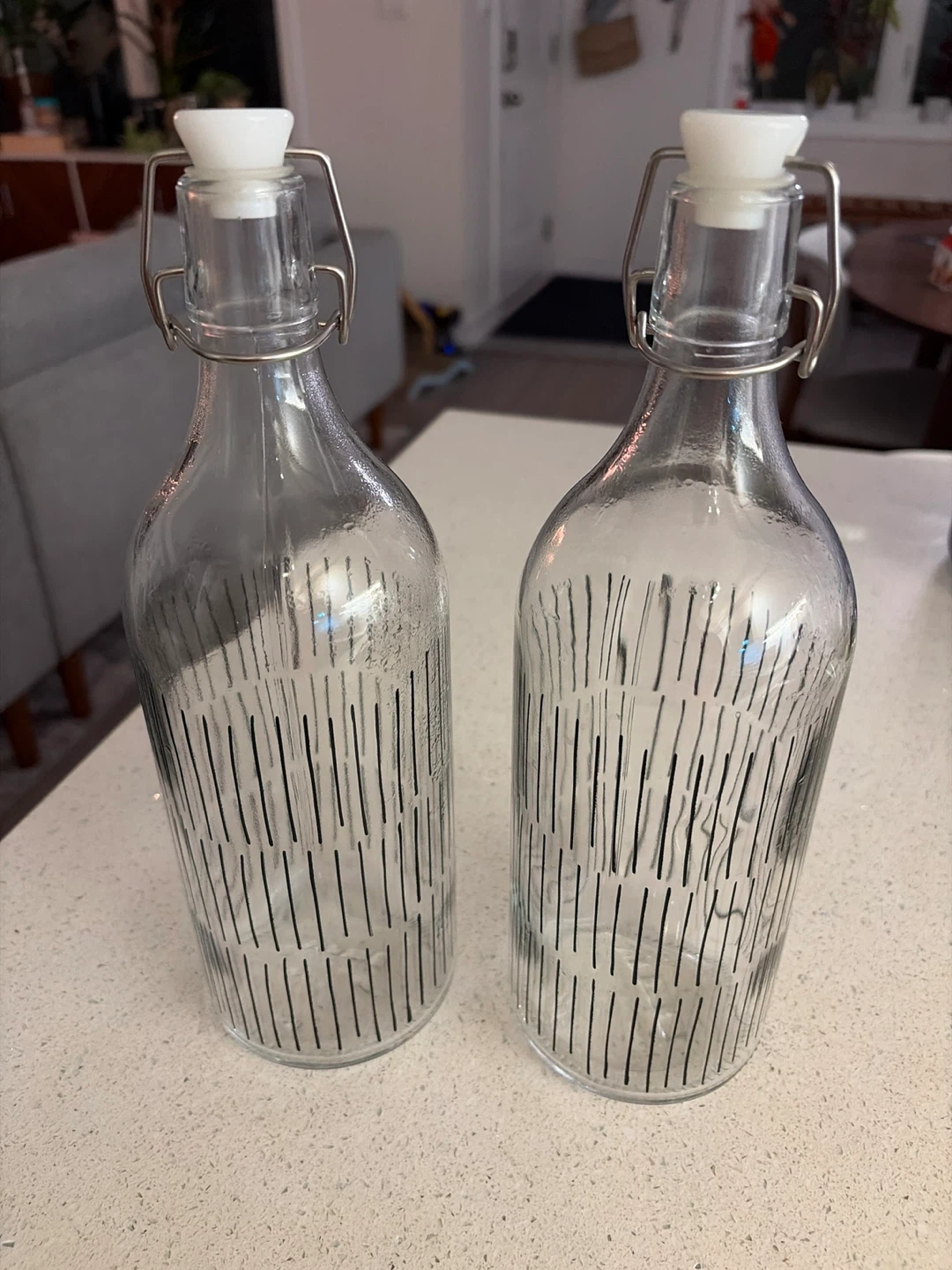 Glass Water Bottles (Set of 2)