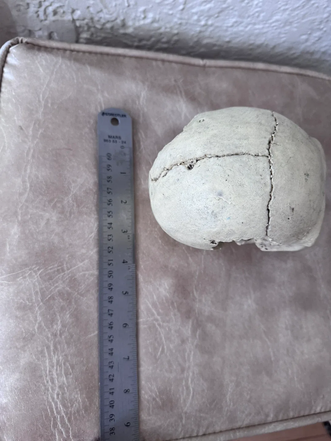 Great for Halloween Skull Replica Aquarium Decoration image indicator(3)