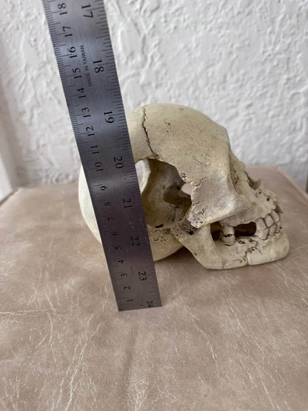 Great for Halloween Skull Replica Aquarium Decoration image indicator(4)