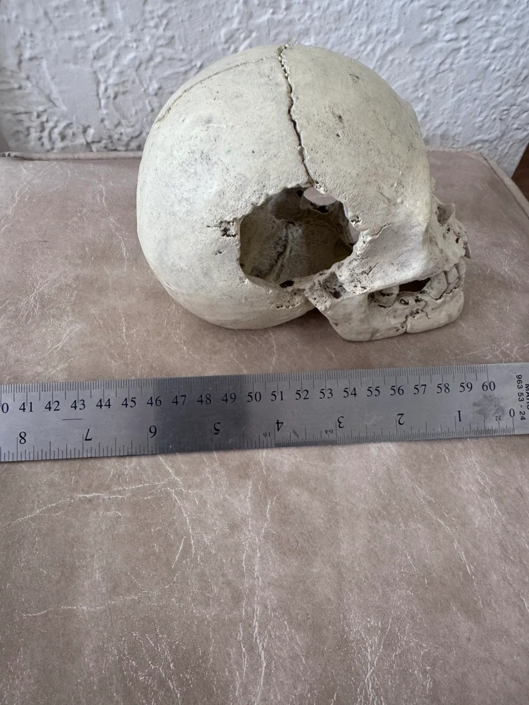 Great for Halloween Skull Replica Aquarium Decoration image indicator(2)