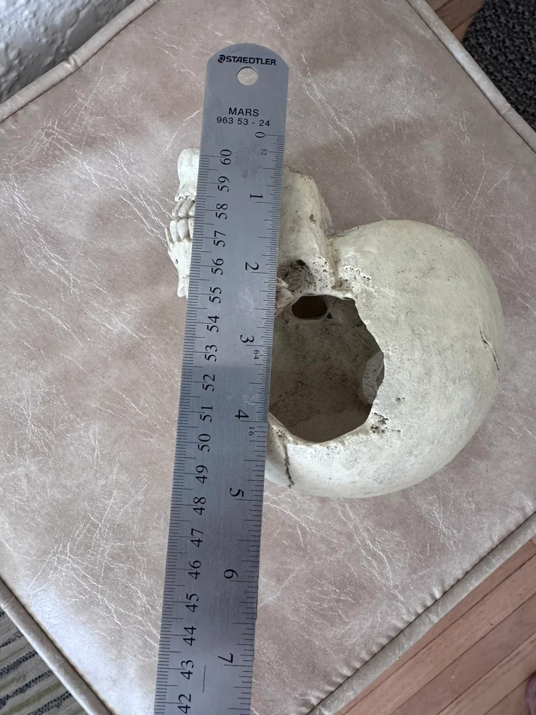 Great for Halloween Skull Replica Aquarium Decoration image indicator(5)