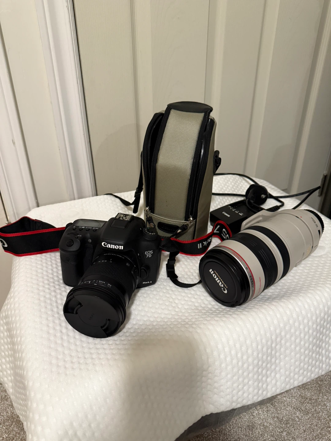 Canon EOS 7D Mark II Camera with Lens