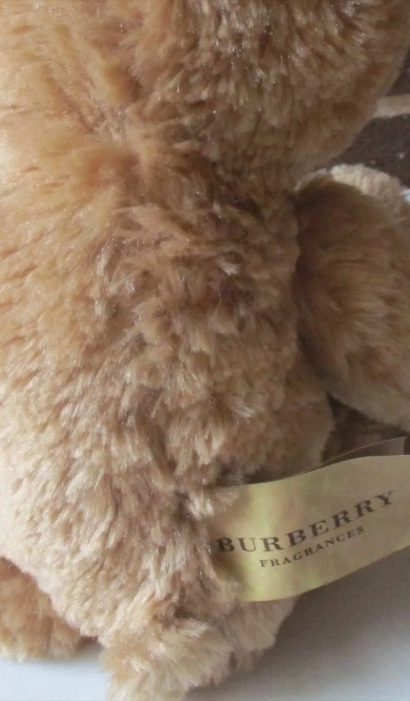 Burberry Fragrances 2010 Collectible  + Baby Gap deni image indicator(6)