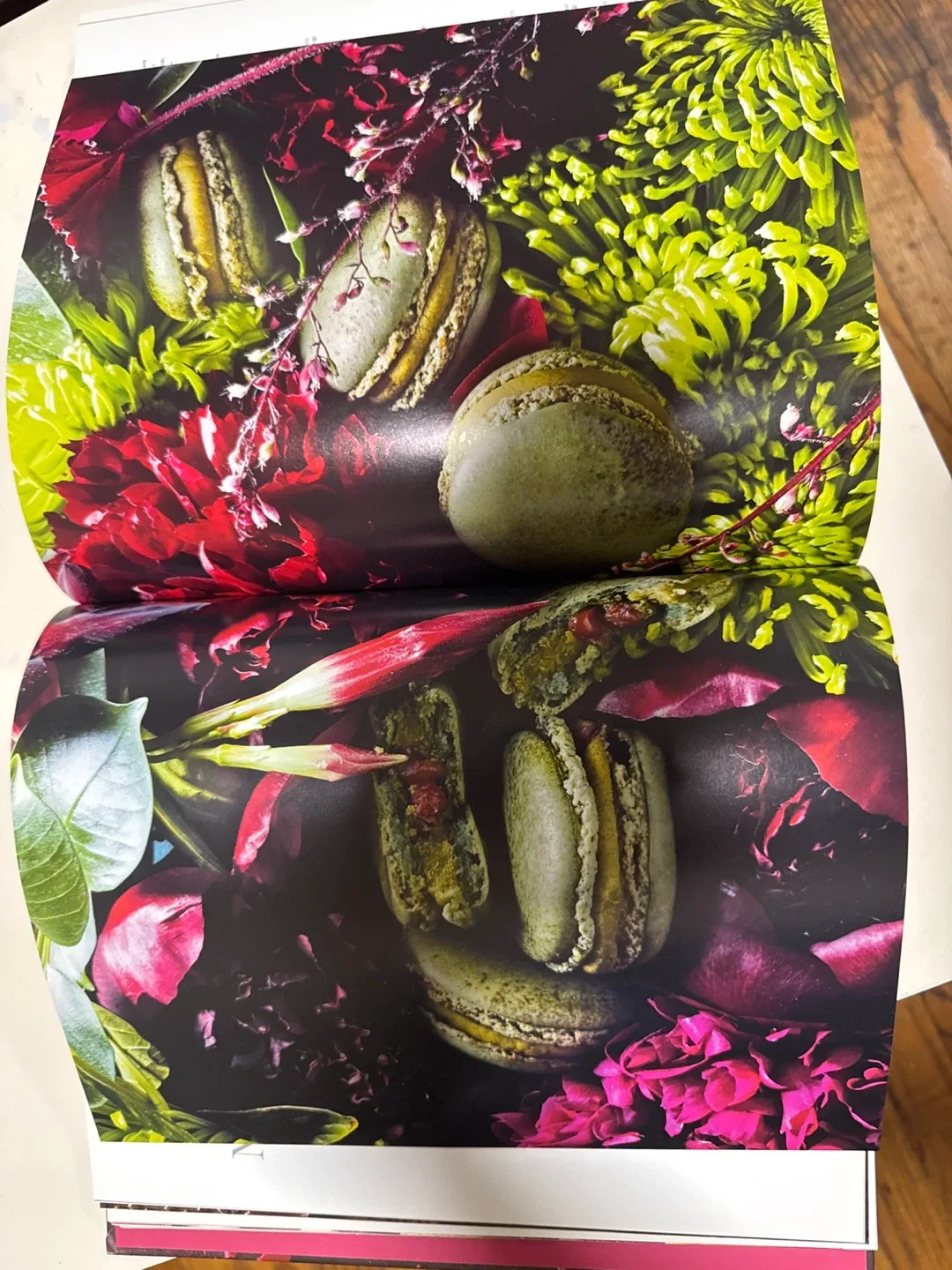 Pierre Hermé Macaron Book image indicator(2)