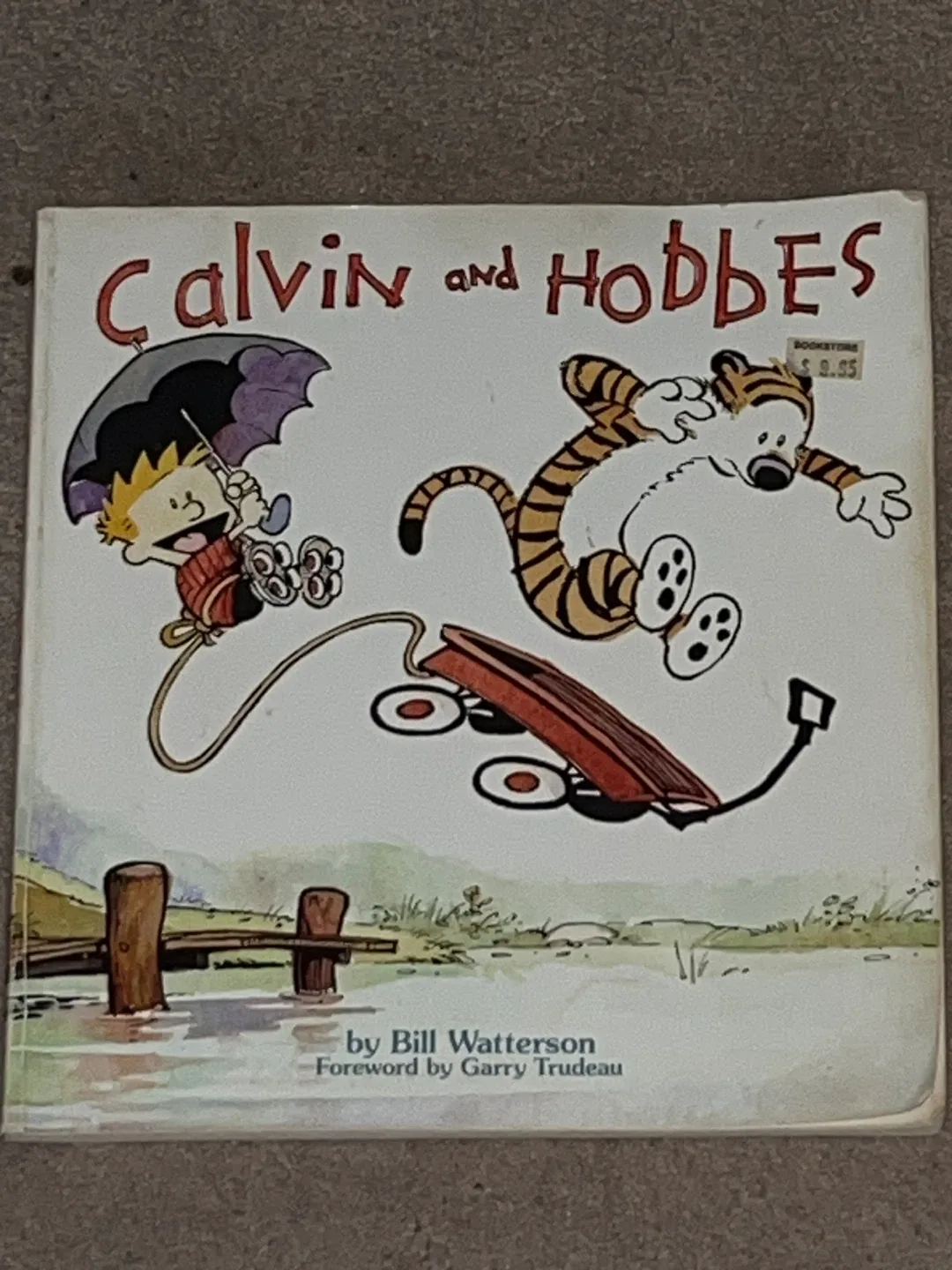 Perfect Assortment of Books & Comics for Kids and Teens image indicator(2)