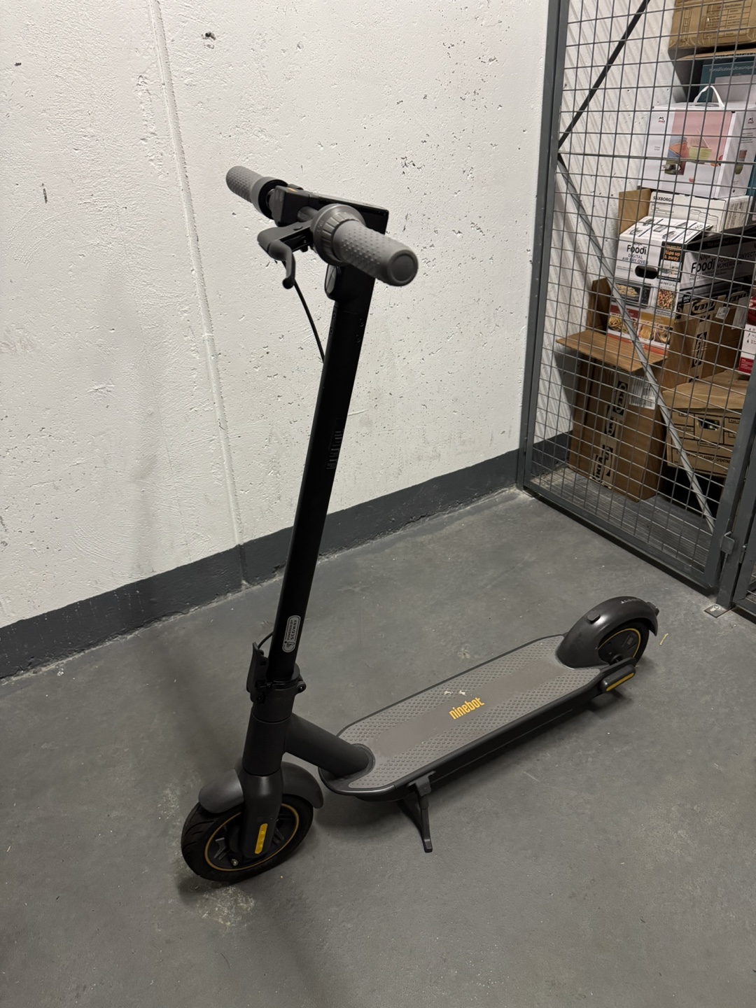 Ninebot KickScooter MAX G30P