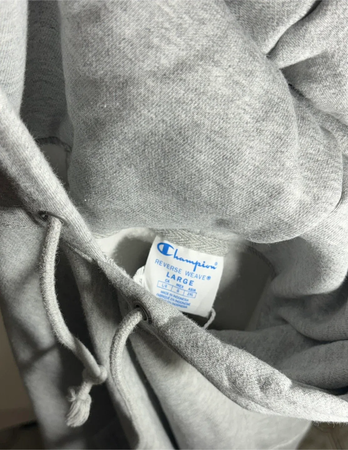 Champion Reverse Weave Hoodie image indicator(2)