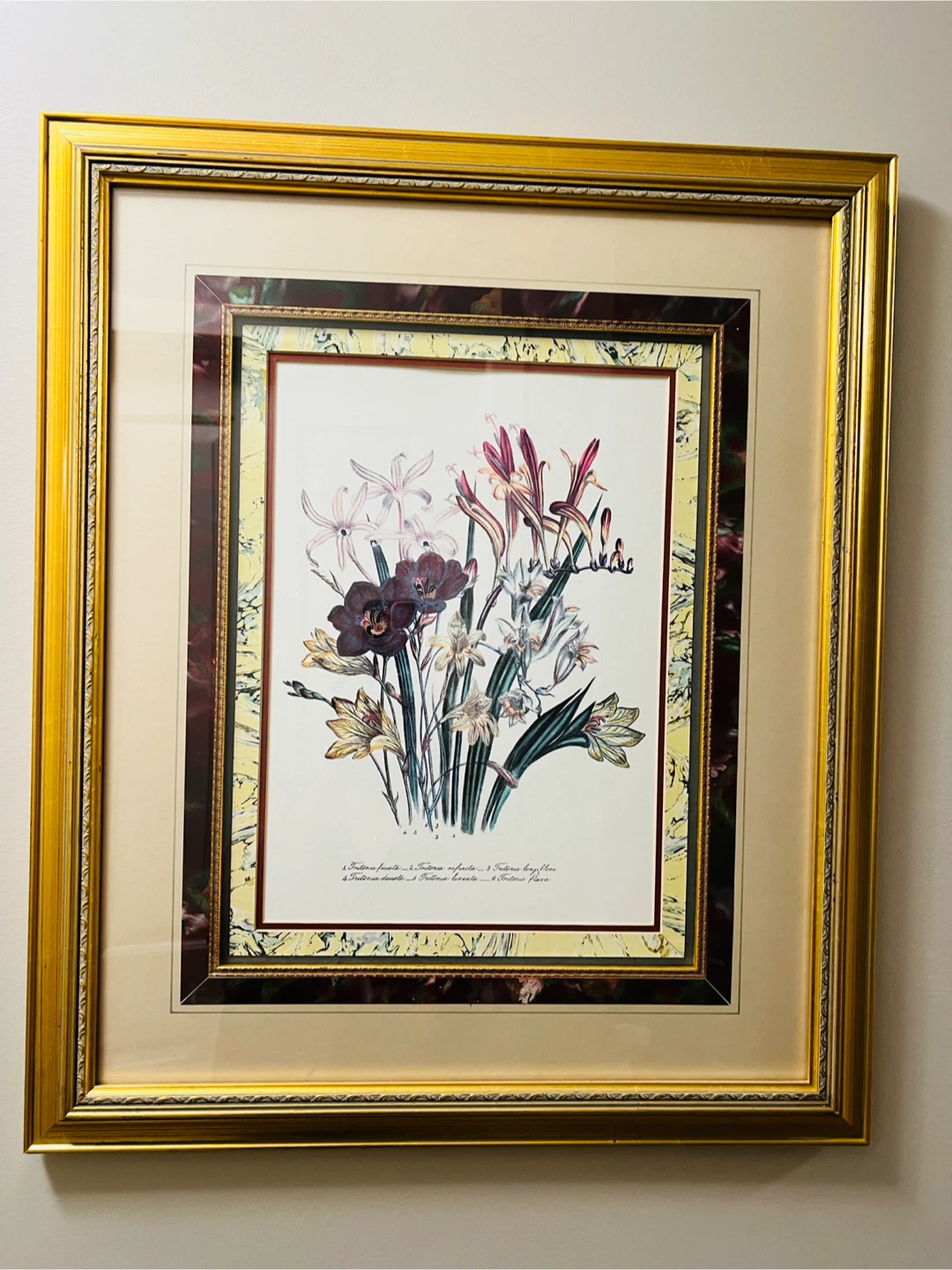 Framed Floral Botanical Prints (Set of 2) - photo 2