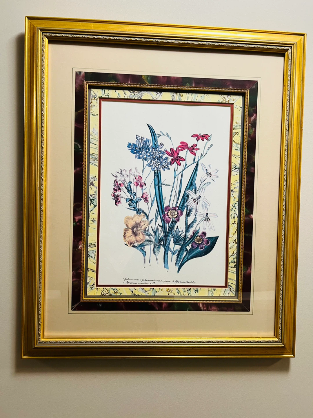 Framed Floral Botanical Prints (Set of 2)