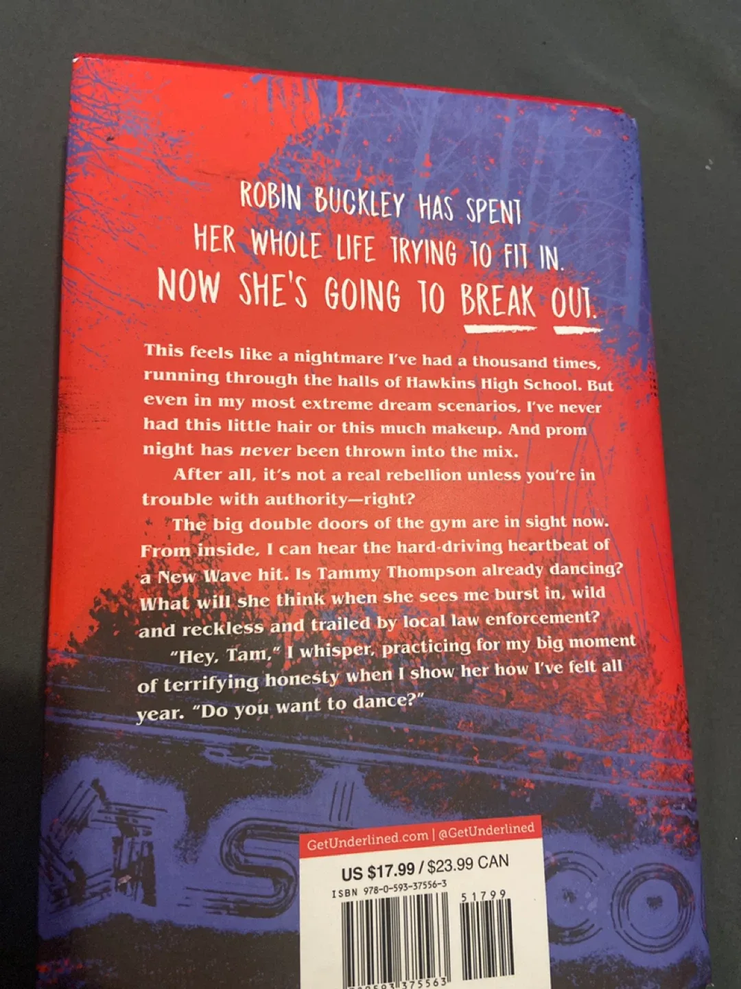 Stranger Things (Robin) book image indicator(3)