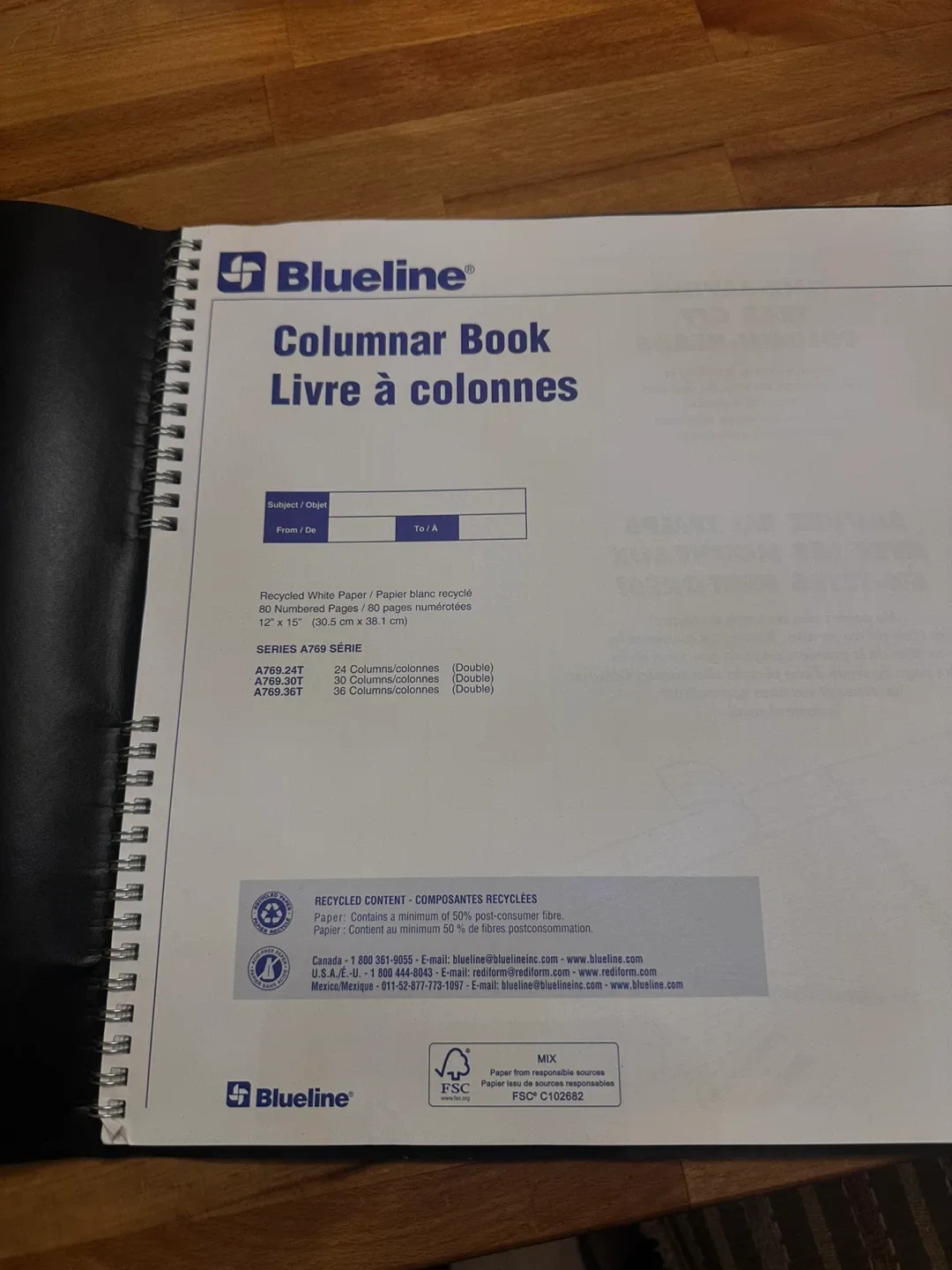 Blueline Columnar Book - 30 Columns image indicator(2)