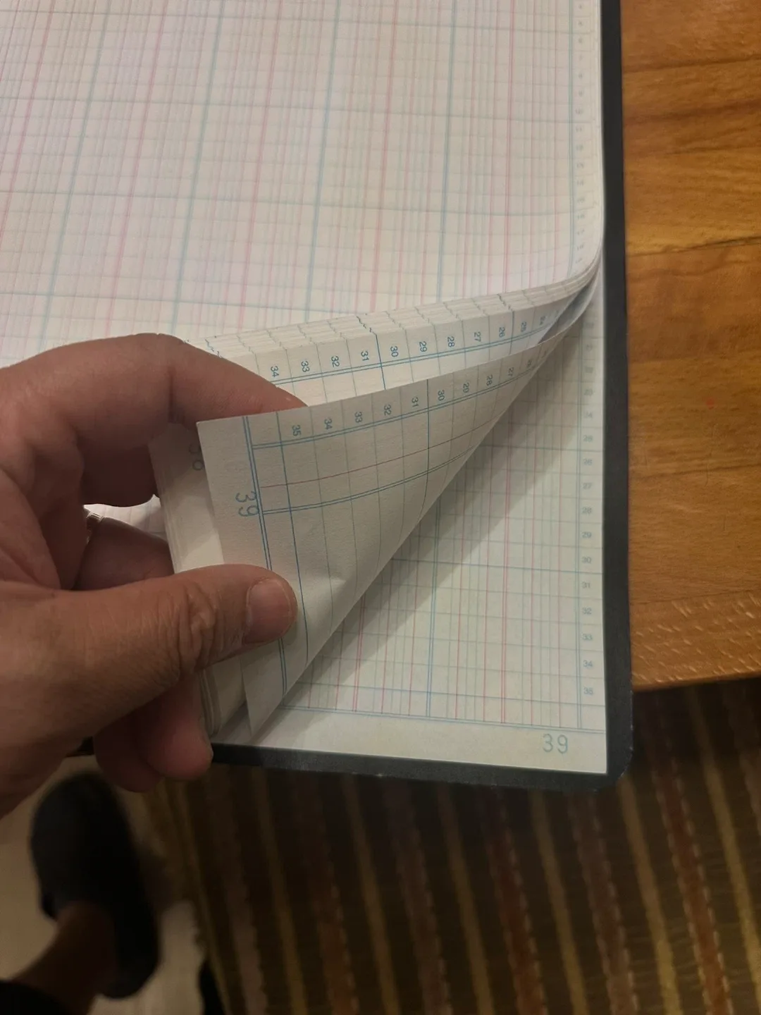 Blueline Columnar Book - 30 Columns image indicator(4)