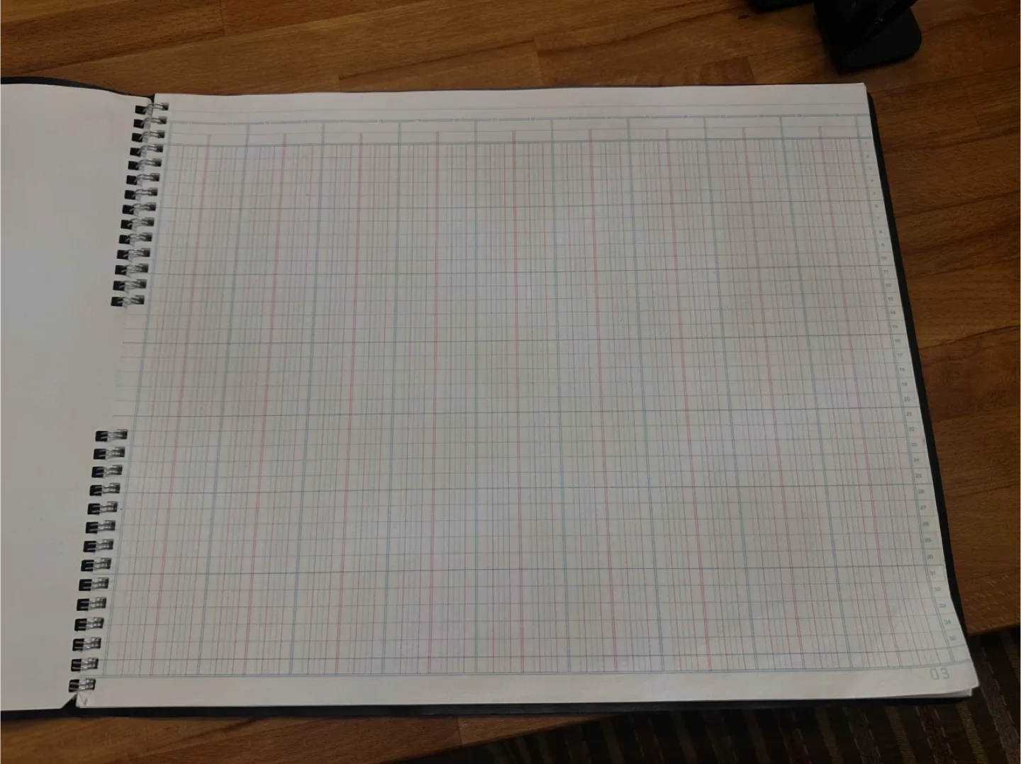 Blueline Columnar Book - 30 Columns image indicator(3)