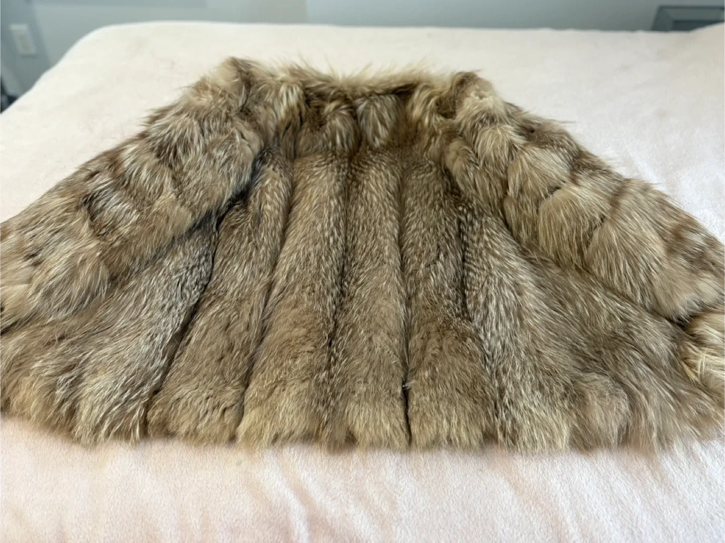 Crystal fox Fur Coat image indicator(4)