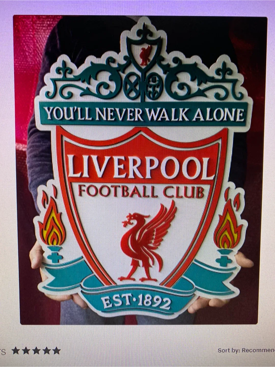 Liverpool Football Club Wall Decor image indicator(5)